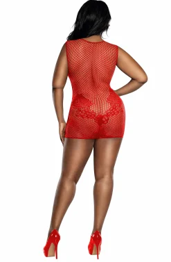 Dreamgirl Lace And Mesh Dress