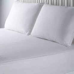 Mattress Encasement Protector