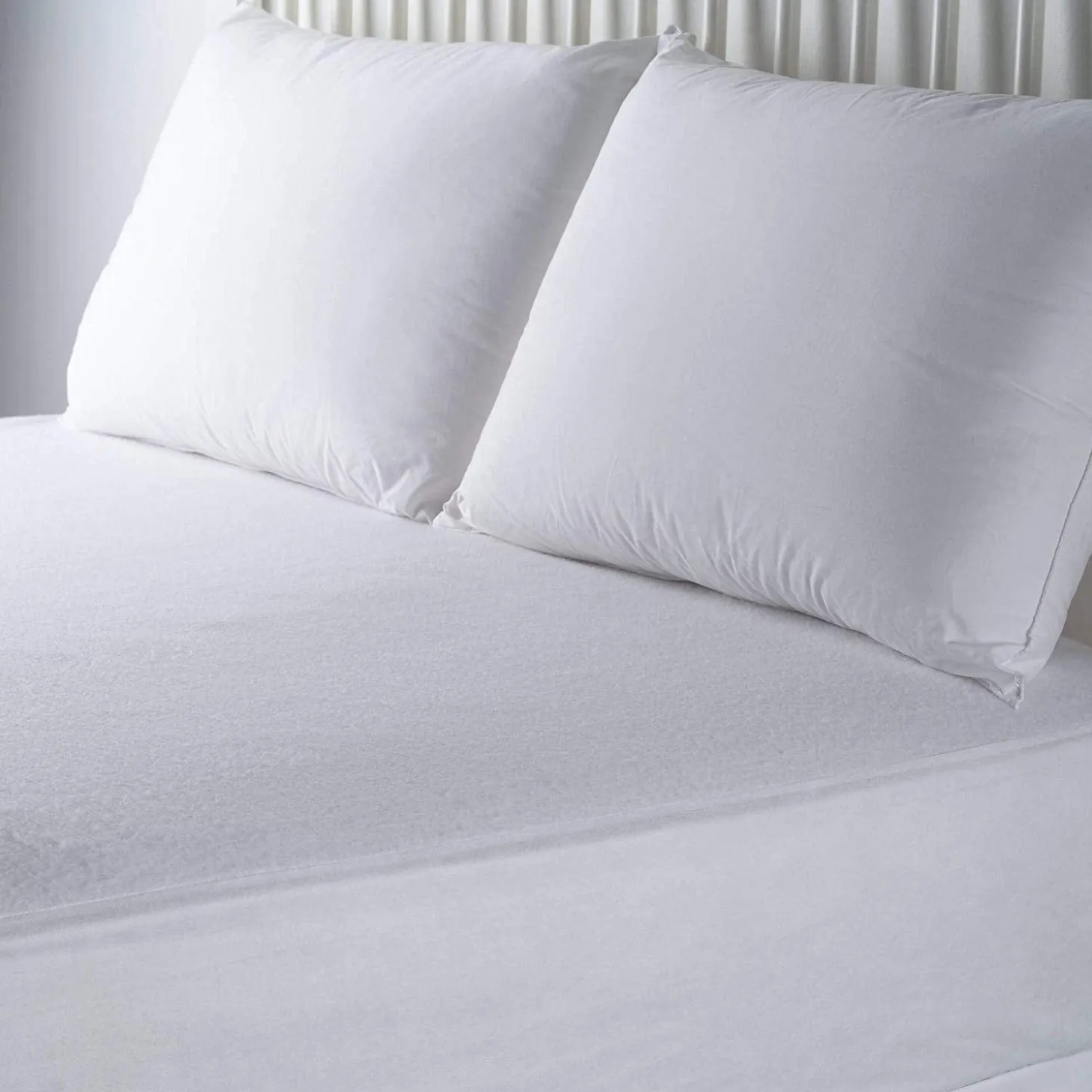 Mattress Encasement Protector
